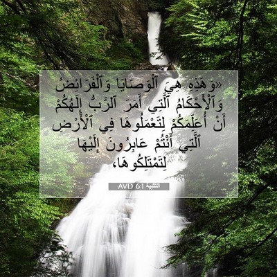 Picture 07 - اَلتَّثْنِيَة 6:1 AVD - «وَهَذِهِ هِيَ - Bible Verse Picture