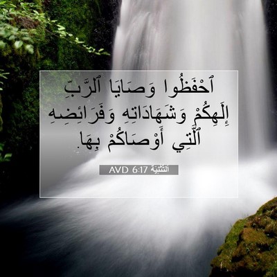 Picture 07 - اَلتَّثْنِيَة 6:17 AVD - ٱحْفَظُوا وَصَايَا - Bible Verse Picture