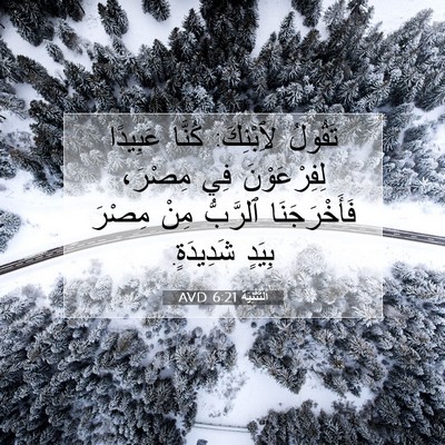 Picture 07 - اَلتَّثْنِيَة 6:21 AVD - تَقُولُ لِٱبْنِكَ: كُنَّا - Bible Verse Picture