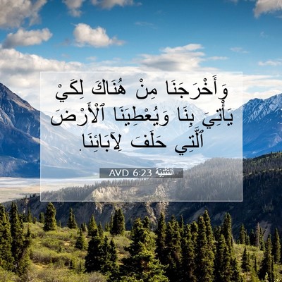 Picture 07 - اَلتَّثْنِيَة 6:23 AVD - وَأَخْرَجَنَا مِنْ - Bible Verse Picture