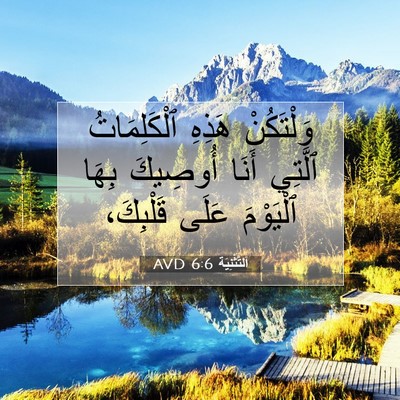 Picture 07 - اَلتَّثْنِيَة 6:6 AVD - وَلْتَكُنْ هَذِهِ - Bible Verse Picture