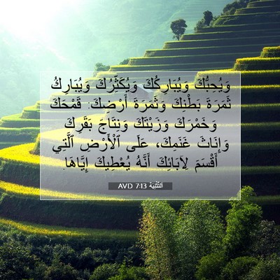 Picture 07 - اَلتَّثْنِيَة 7:13 AVD - وَيُحِبُّكَ وَيُبَارِكُكَ - Bible Verse Picture