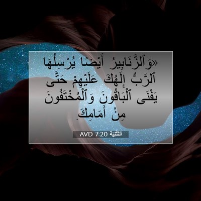 Picture 07 - اَلتَّثْنِيَة 7:20 AVD - «وَٱلزَّنَابِيرُ أَيْضًا - Bible Verse Picture