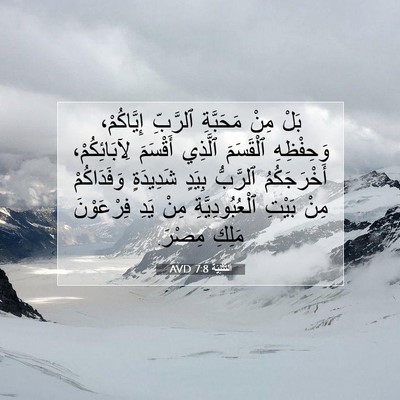 Picture 07 - اَلتَّثْنِيَة 7:8 AVD - بَلْ مِنْ مَحَبَّةِ - Bible Verse Picture