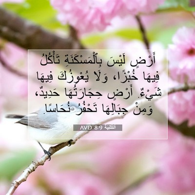 Picture 07 - اَلتَّثْنِيَة 8:9 AVD - أَرْضٍ لَيْسَ - Bible Verse Picture