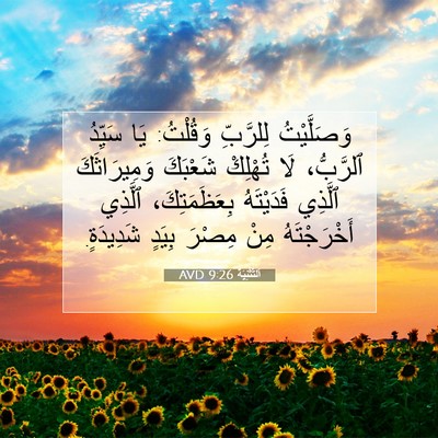 Picture 07 - اَلتَّثْنِيَة 9:26 AVD - وَصَلَّيْتُ لِلرَّبِّ - Bible Verse Picture