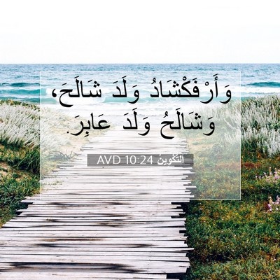 Picture 07 - اَلتَّكْوِينُ 10:24 AVD - وَأَرْفَكْشَادُ وَلَدَ - Bible Verse Picture