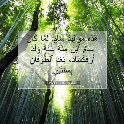 Picture 07 - اَلتَّكْوِينُ 11:10 AVD - هَذِهِ مَوَالِيدُ سَامٍ: - Bible Verse Picture