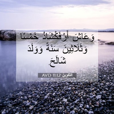 Picture 07 - اَلتَّكْوِينُ 11:12 AVD - وَعَاشَ أَرْفَكْشَادُ - Bible Verse Picture