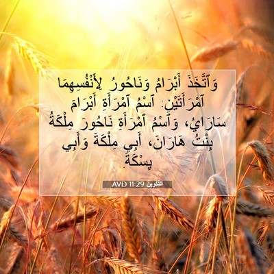 Picture 07 - اَلتَّكْوِينُ 11:29 AVD - وَٱتَّخَذَ أَبْرَامُ - Bible Verse Picture