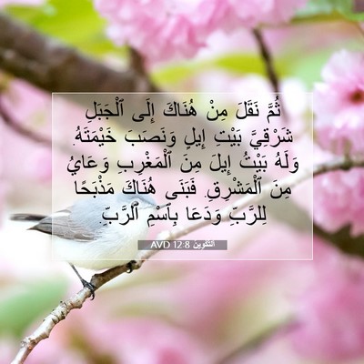 Picture 07 - اَلتَّكْوِينُ 12:8 AVD - ثُمَّ نَقَلَ مِنْ هُنَاكَ - Bible Verse Picture