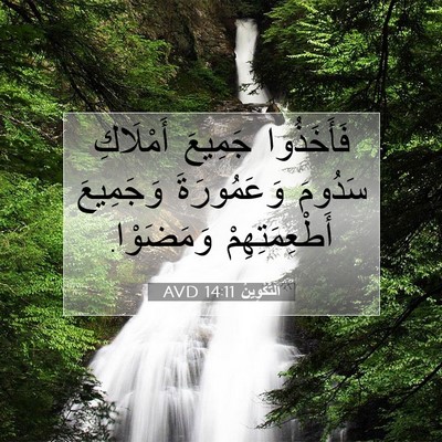 Picture 07 - اَلتَّكْوِينُ 14:11 AVD - فَأَخَذُوا جَمِيعَ - Bible Verse Picture