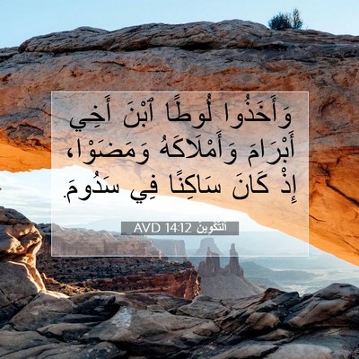 Picture 07 - اَلتَّكْوِينُ 14:12 AVD - وَأَخَذُوا لُوطًا ٱبْنَ - Bible Verse Picture
