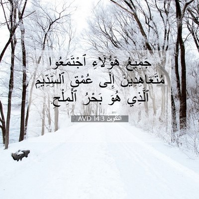 Picture 07 - اَلتَّكْوِينُ 14:3 AVD - جَمِيعُ هَؤُلَاءِ - Bible Verse Picture