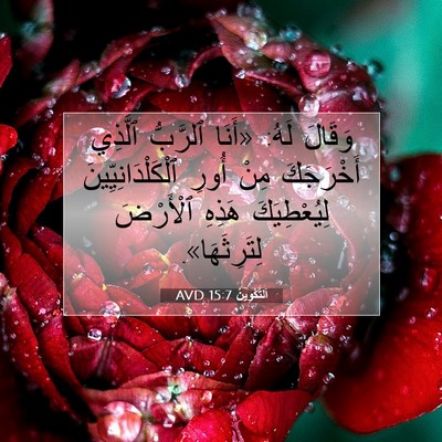 Picture 07 - اَلتَّكْوِينُ 15:7 AVD - وَقَالَ لَهُ: «أَنَا - Bible Verse Picture