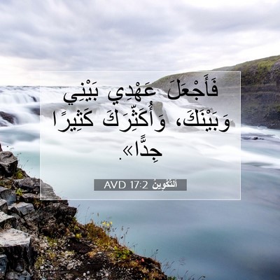 Picture 07 - اَلتَّكْوِينُ 17:2 AVD - فَأَجْعَلَ عَهْدِي - Bible Verse Picture