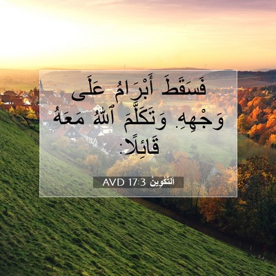Picture 07 - اَلتَّكْوِينُ 17:3 AVD - فَسَقَطَ أَبْرَامُ عَلَى - Bible Verse Picture