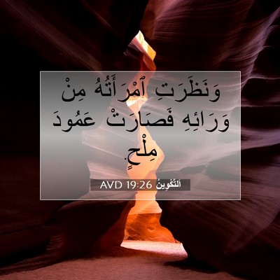 Picture 07 - اَلتَّكْوِينُ 19:26 AVD - وَنَظَرَتِ ٱمْرَأَتُهُ - Bible Verse Picture