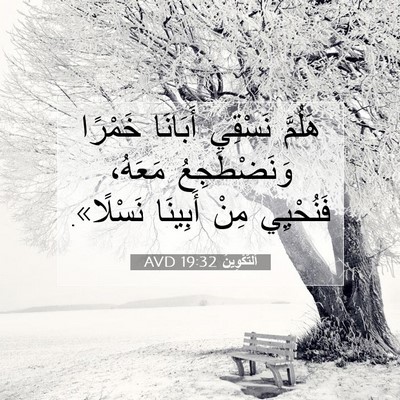 Picture 07 - اَلتَّكْوِينُ 19:32 AVD - هَلُمَّ نَسْقِي أَبَانَا - Bible Verse Picture