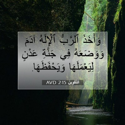 Picture 07 - اَلتَّكْوِينُ 2:15 AVD - وَأَخَذَ ٱلرَّبُّ - Bible Verse Picture