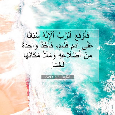 Picture 07 - اَلتَّكْوِينُ 2:21 AVD - فَأَوْقَعَ ٱلرَّبُّ - Bible Verse Picture