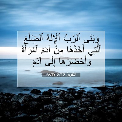 Picture 07 - اَلتَّكْوِينُ 2:22 AVD - وَبَنَى ٱلرَّبُّ - Bible Verse Picture