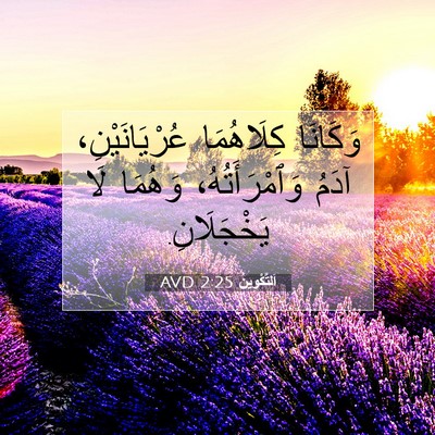 Picture 07 - اَلتَّكْوِينُ 2:25 AVD - وَكَانَا كِلَاهُمَا - Bible Verse Picture