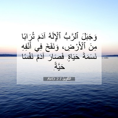 Picture 07 - اَلتَّكْوِينُ 2:7 AVD - وَجَبَلَ ٱلرَّبُّ - Bible Verse Picture