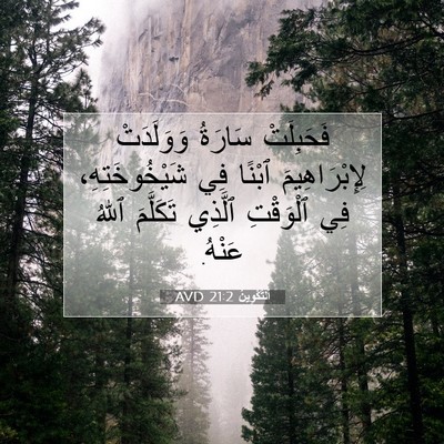 Picture 07 - اَلتَّكْوِينُ 21:2 AVD - فَحَبِلَتْ سَارَةُ - Bible Verse Picture