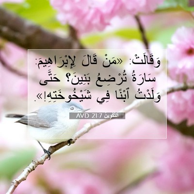 Picture 07 - اَلتَّكْوِينُ 21:7 AVD - وَقَالَتْ: «مَنْ قَالَ - Bible Verse Picture