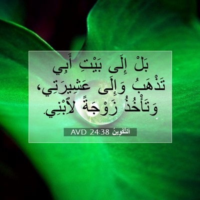 Picture 07 - اَلتَّكْوِينُ 24:38 AVD - بَلْ إِلَى بَيْتِ أَبِي - Bible Verse Picture