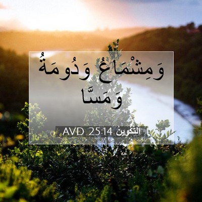 Picture 07 - اَلتَّكْوِينُ 25:14 AVD - وَمِشْمَاعُ وَدُومَةُ - Bible Verse Picture