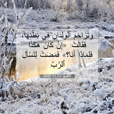 Picture 07 - اَلتَّكْوِينُ 25:22 AVD - وَتَزَاحَمَ ٱلْوَلَدَانِ - Bible Verse Picture