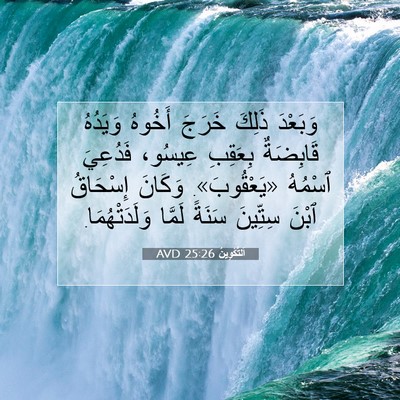 Picture 07 - اَلتَّكْوِينُ 25:26 AVD - وَبَعْدَ ذَلِكَ خَرَجَ - Bible Verse Picture