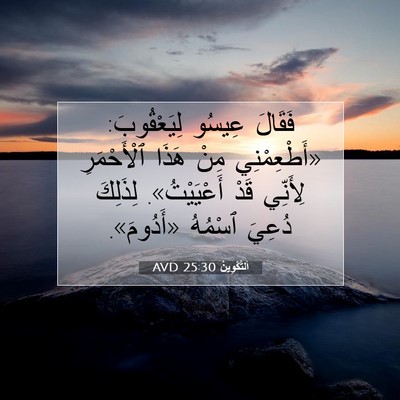 Picture 07 - اَلتَّكْوِينُ 25:30 AVD - فَقَالَ عِيسُو - Bible Verse Picture