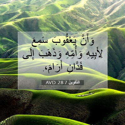 Picture 07 - اَلتَّكْوِينُ 28:7 AVD - وَأَنَّ يَعْقُوبَ سَمِعَ - Bible Verse Picture
