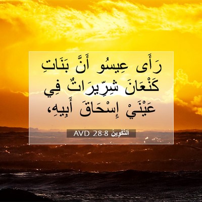 Picture 07 - اَلتَّكْوِينُ 28:8 AVD - رَأَى عِيسُو أَنَّ بَنَاتِ - Bible Verse Picture