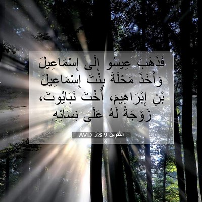Picture 07 - اَلتَّكْوِينُ 28:9 AVD - فَذَهَبَ عِيسُو إِلَى - Bible Verse Picture