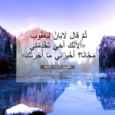 Picture 07 - اَلتَّكْوِينُ 29:15 AVD - ثُمَّ قَالَ لَابَانُ - Bible Verse Picture
