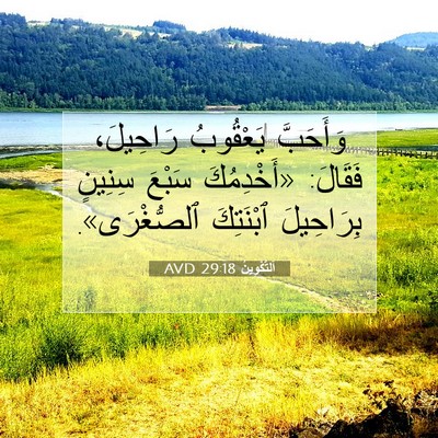 Picture 07 - اَلتَّكْوِينُ 29:18 AVD - وَأَحَبَّ يَعْقُوبُ - Bible Verse Picture