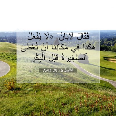 Picture 07 - اَلتَّكْوِينُ 29:26 AVD - فَقَالَ لَابَانُ: «لَا - Bible Verse Picture