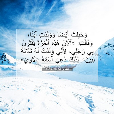 Picture 07 - اَلتَّكْوِينُ 29:34 AVD - وَحَبِلَتْ أَيْضًا - Bible Verse Picture