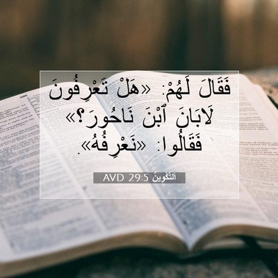 Picture 07 - اَلتَّكْوِينُ 29:5 AVD - فَقَالَ لَهُمْ: «هَلْ - Bible Verse Picture