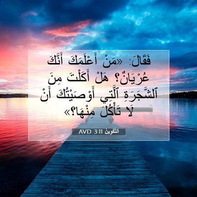 Picture 07 - اَلتَّكْوِينُ 3:11 AVD - فَقَالَ: «مَنْ أَعْلَمَكَ - Bible Verse Picture