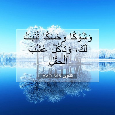 Picture 07 - اَلتَّكْوِينُ 3:18 AVD - وَشَوْكًا وَحَسَكًا - Bible Verse Picture