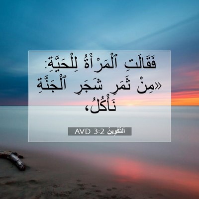 Picture 07 - اَلتَّكْوِينُ 3:2 AVD - فَقَالَتِ ٱلْمَرْأَةُ - Bible Verse Picture