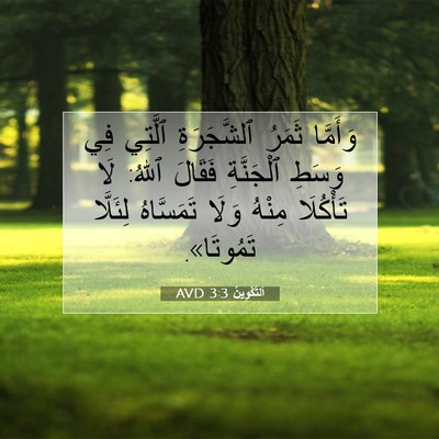 Picture 07 - اَلتَّكْوِينُ 3:3 AVD - وَأَمَّا ثَمَرُ - Bible Verse Picture