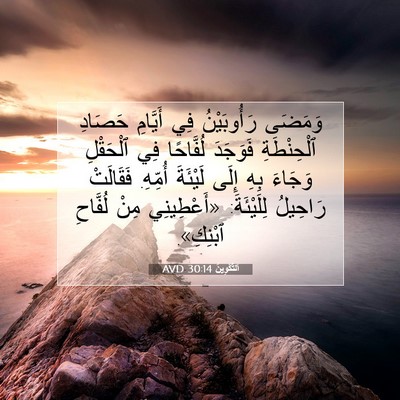 Picture 07 - اَلتَّكْوِينُ 30:14 AVD - وَمَضَى رَأُوبَيْنُ فِي - Bible Verse Picture