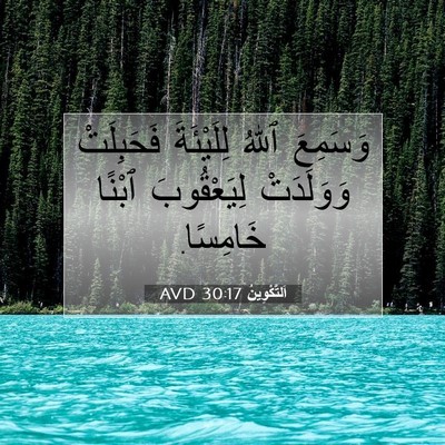 Picture 07 - اَلتَّكْوِينُ 30:17 AVD - وَسَمِعَ ٱللهُ لِلَيْئَةَ - Bible Verse Picture