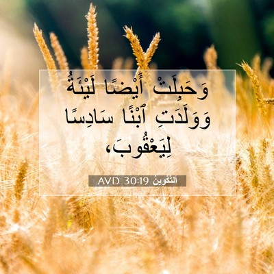Picture 07 - اَلتَّكْوِينُ 30:19 AVD - وَحَبِلَتْ أَيْضًا - Bible Verse Picture